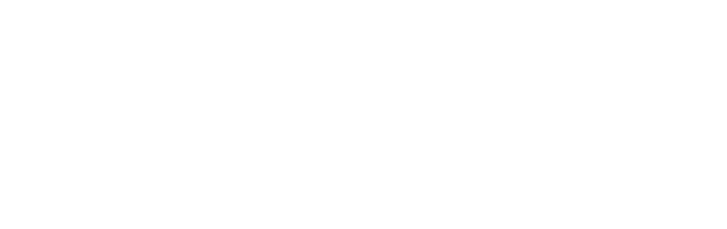 long term visit pass singapore sample